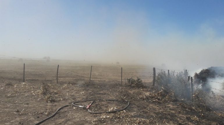Incendio de campo entre Leones y Msjz