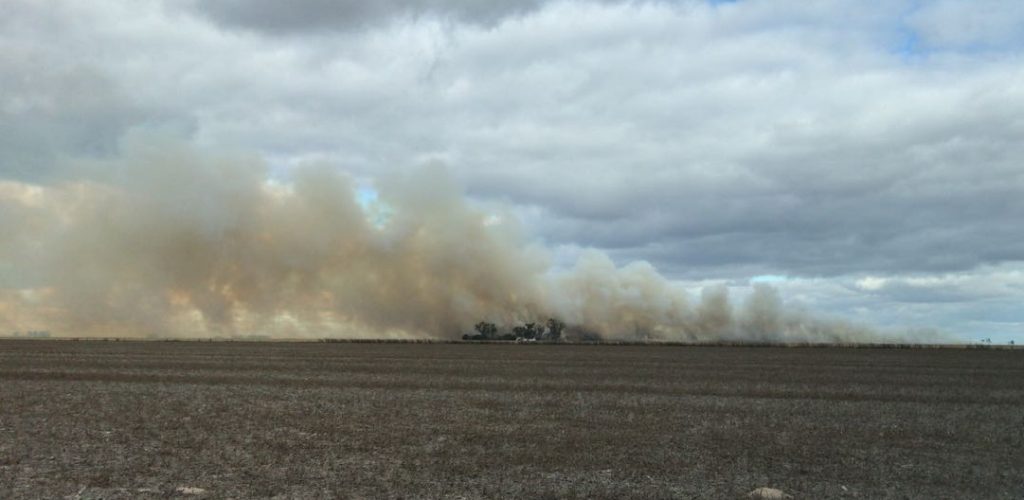 Fuego en un campo de la zona sur