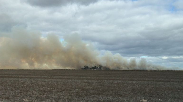 Fuego en un campo de la zona sur