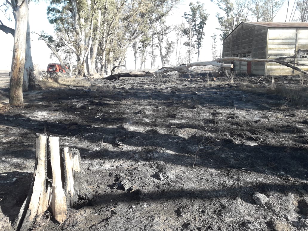 Incendio de campo hoy domingo