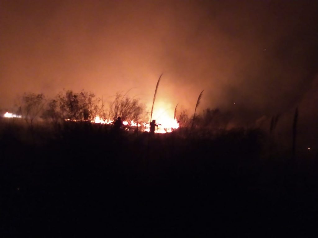 Incendio de campo en el bajo de Favaro