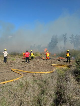 Bomberos trabajaron 63horas en un campo