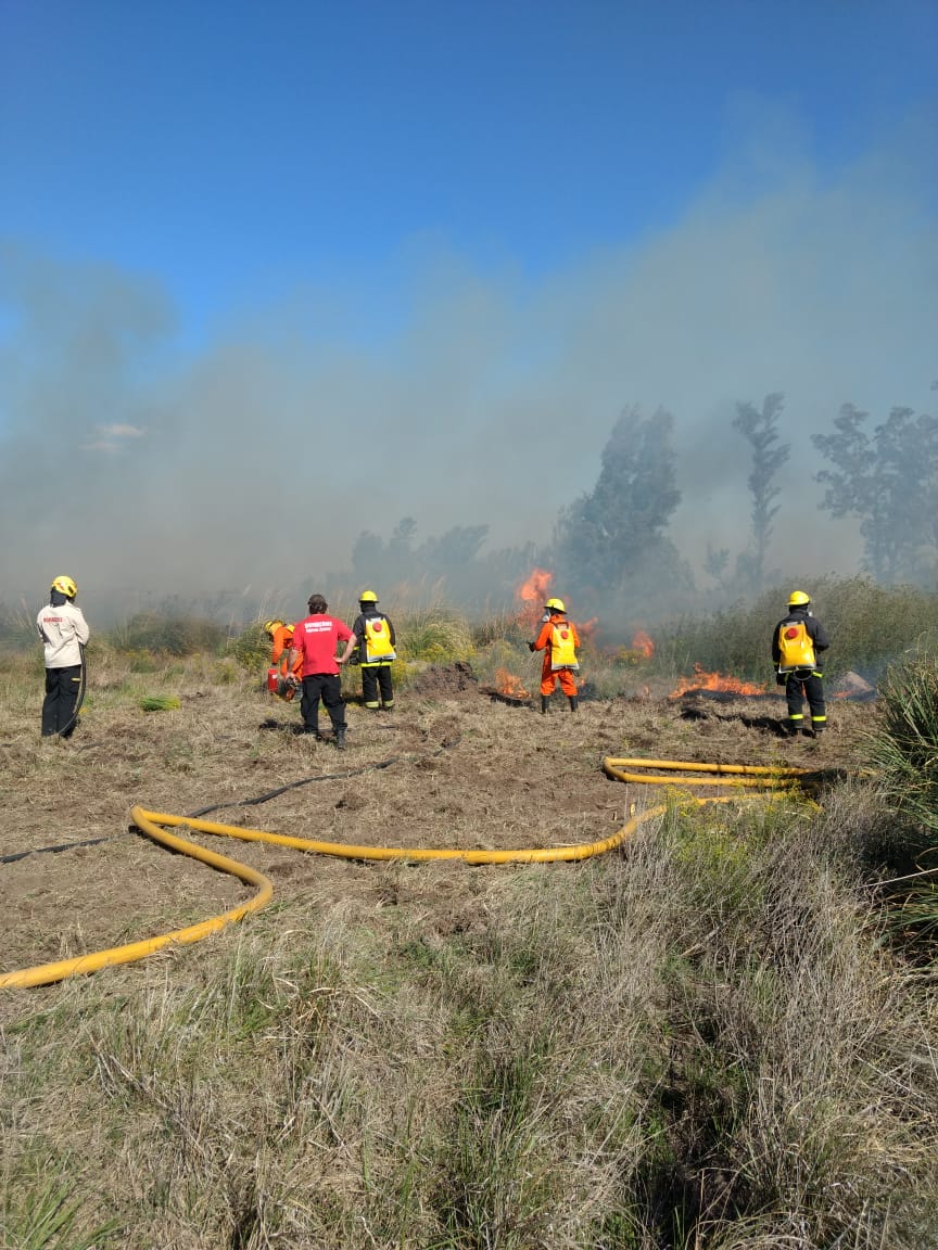 Bomberos trabajaron 3 horas en un campo