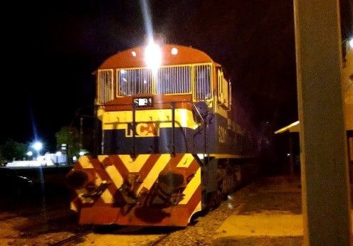 Una mujer se arrojó bajo un tren de carga