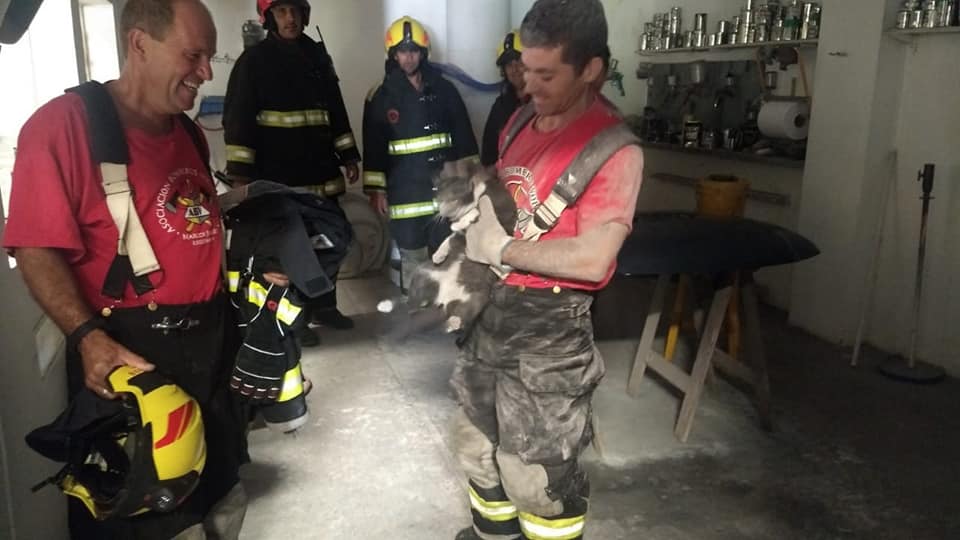 Bomberos rescatan un gatito