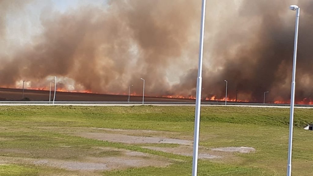 Incendio de campo en la zona de Gral Roca